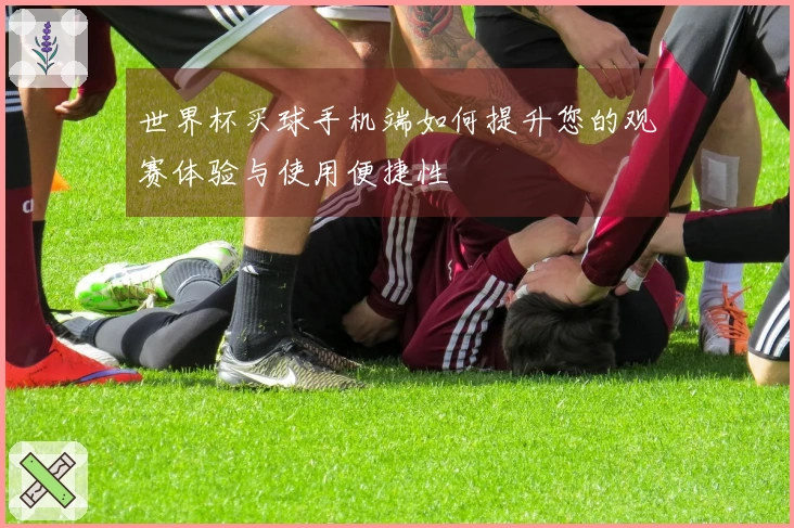 世界杯买球手机端如何提升您的观赛体验与使用便捷性