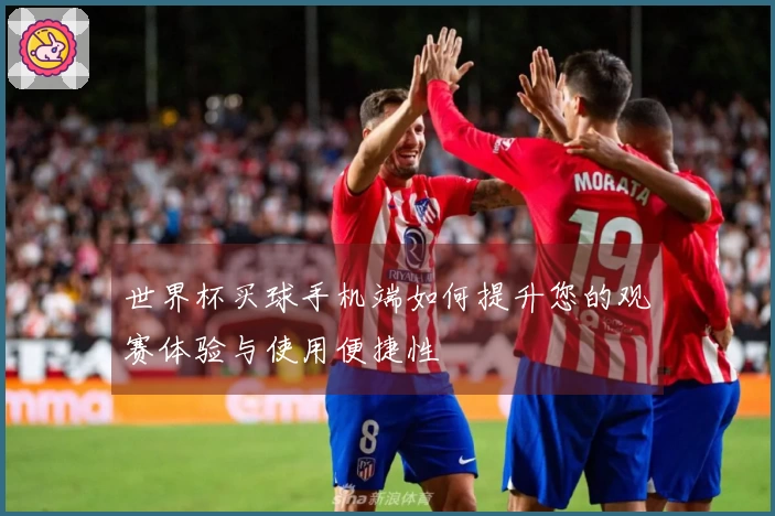 世界杯买球手机端如何提升您的观赛体验与使用便捷性