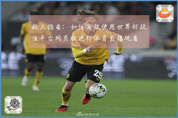 新人指南：如何高效使用世界杯投注平台网页版进行体育直播观看
